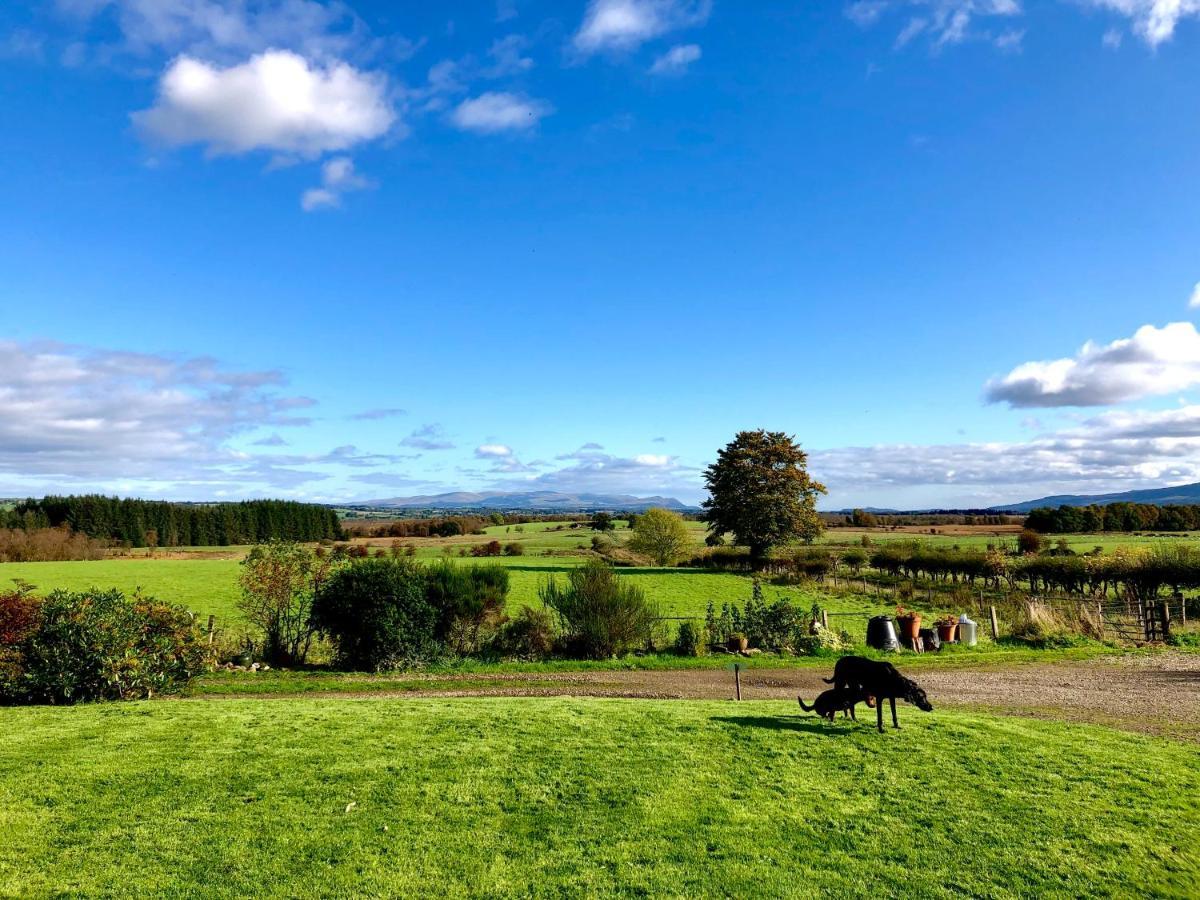 Trossachs Barn & Cabin - Boutique B&B Port Of Menteith Esterno foto