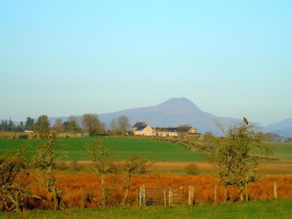 Trossachs Barn & Cabin - Boutique B&B Port Of Menteith Esterno foto