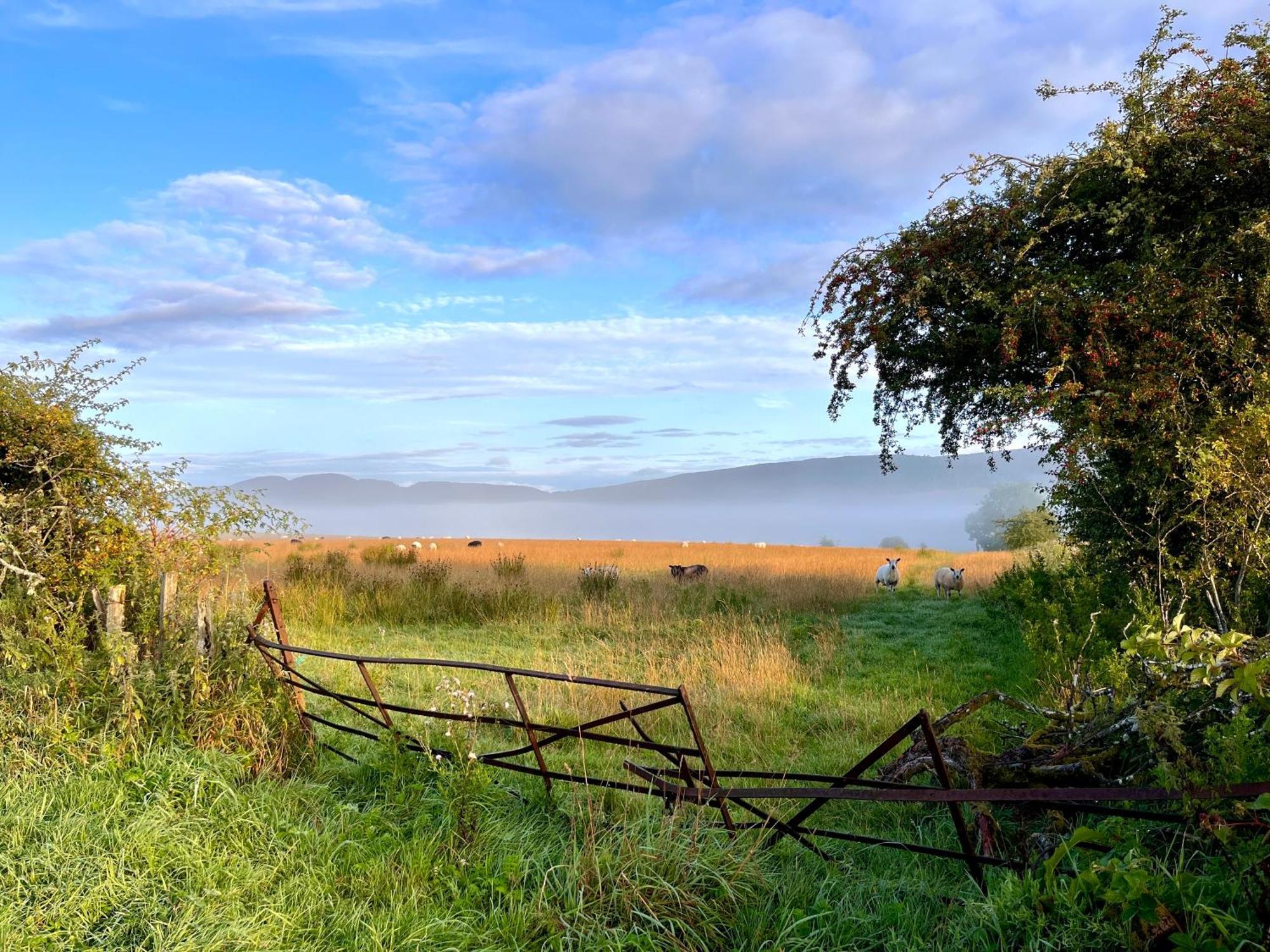 Trossachs Barn & Cabin - Boutique B&B Port Of Menteith Esterno foto