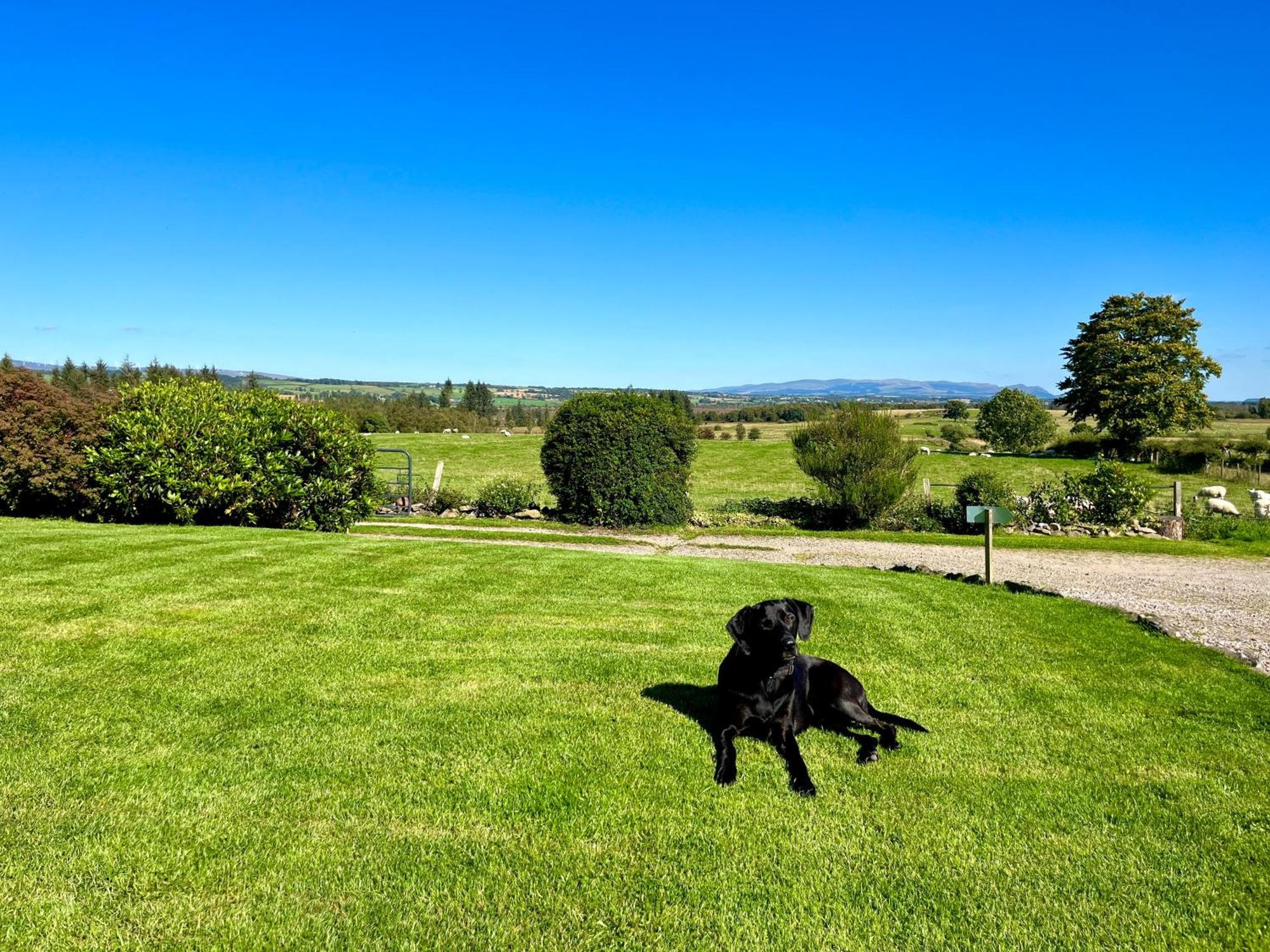 Trossachs Barn & Cabin - Boutique B&B Port Of Menteith Esterno foto